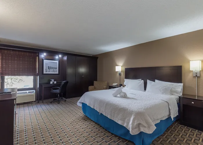 Spark By Hilton Tampa Brandon