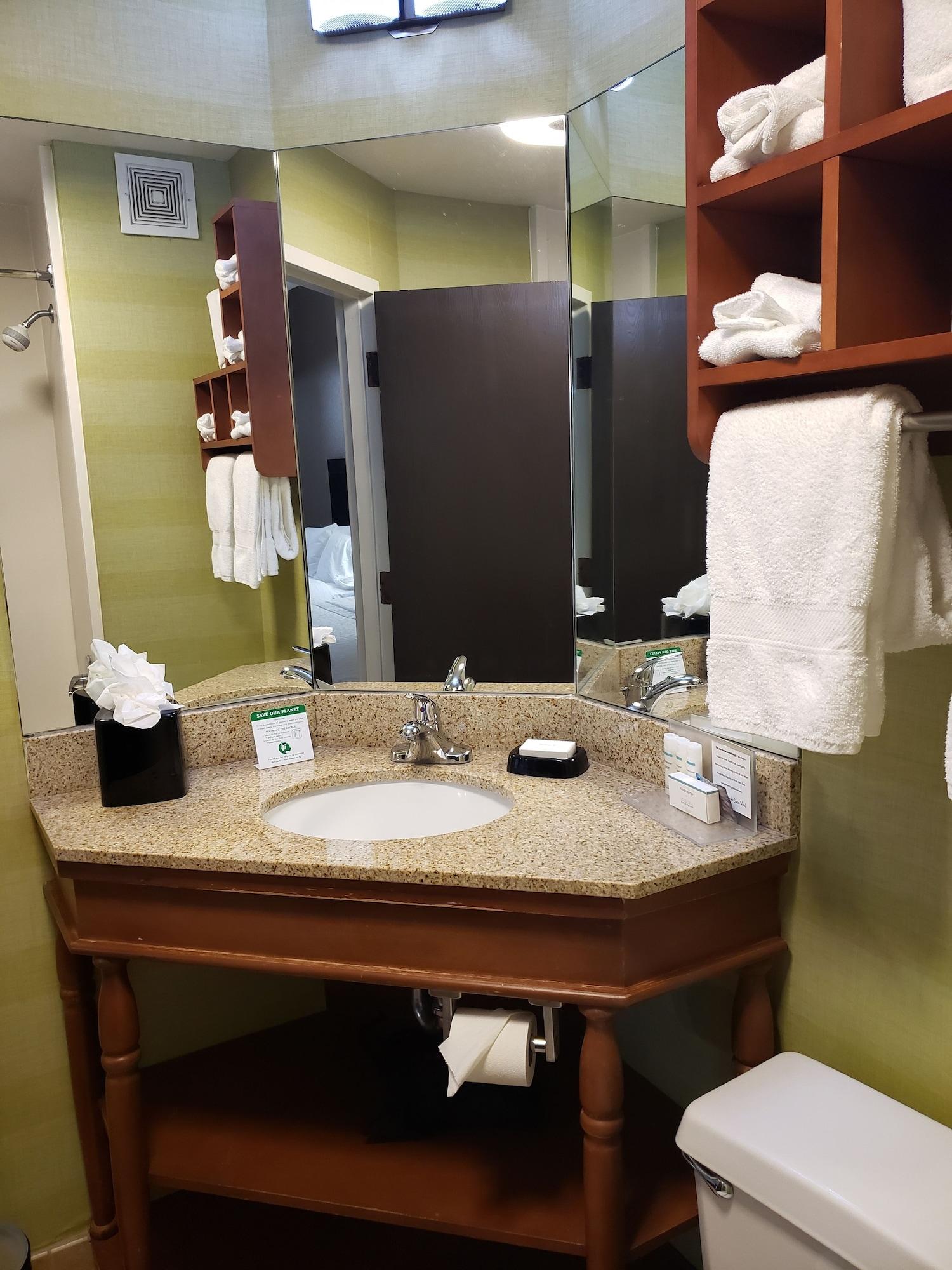 Spark By Hilton Tampa Brandon 2* Heartland