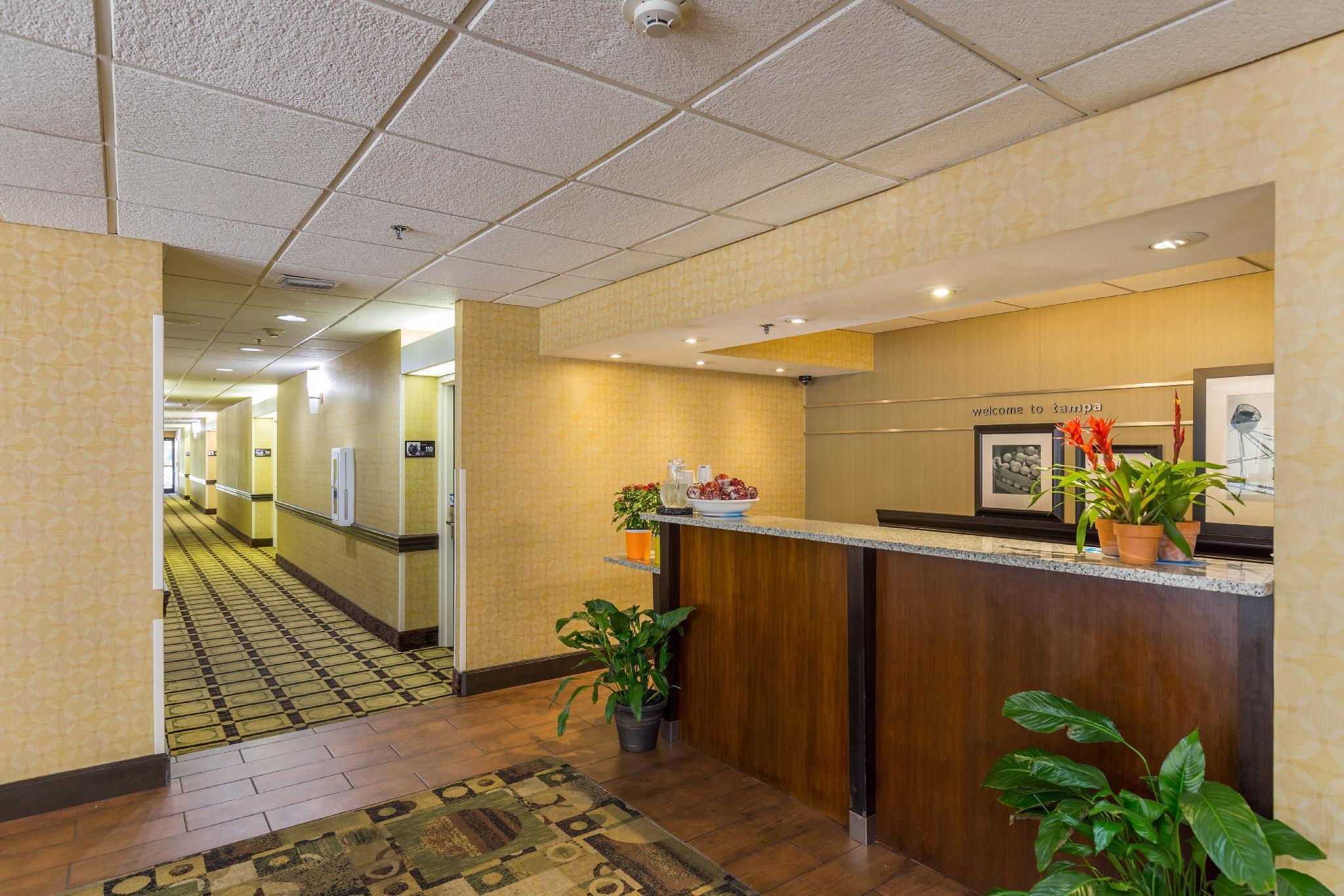 Spark By Hilton Brandon